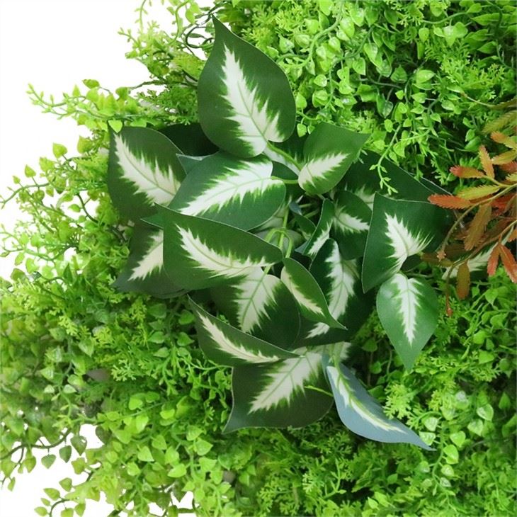 ANTHURIUM Boxwood Panel