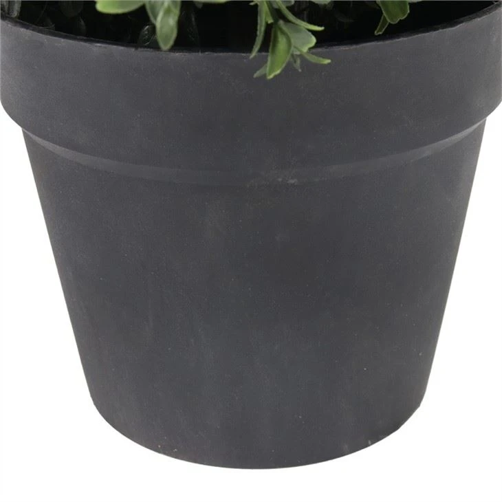 Boxwood Tree With Plastic Potted